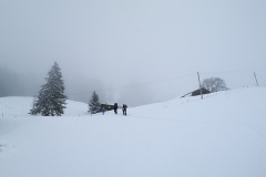 IMG_20210117_095455