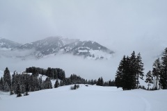 IMG_20210117_110309
