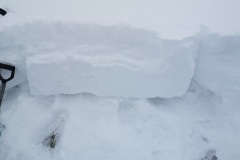 IMG_20210117_112247