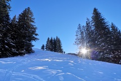 IMG_20210124_104611