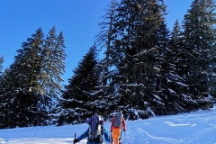 IMG_20210124_104616