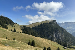 IMG_2869