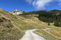 IMG_2870