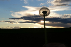 Abendbummel_06