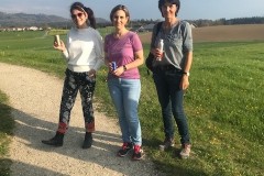 Bild_3