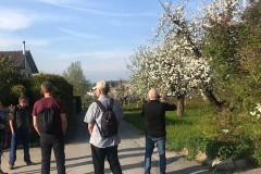 Bild_6