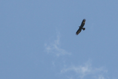 2012-07-31_Adelboden_IMG_002