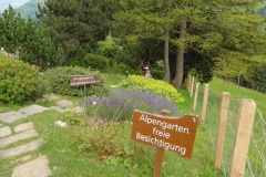 2012-07-31_Adelboden_IMG_008