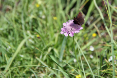 2012-07-31_Adelboden_IMG_013