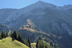 IMG_6965