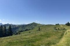 IMG_8848