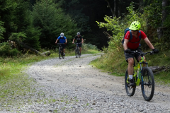 02-Biketage_Vogesen
