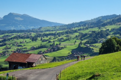 Bild1