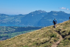 Bild3