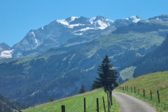 Bild5