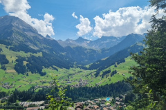 Bild-15