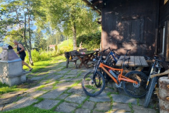 Bild-9