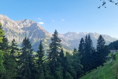 Bild_8