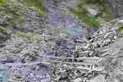Bild-1