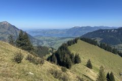 IMG_4814