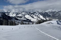 IMG_0530