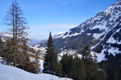 IMG_20200126_113330