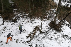 IMG_20200126_132958