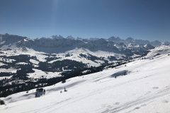 IMG_6685-e1553630609348