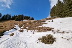 20220304_164309-Mittel